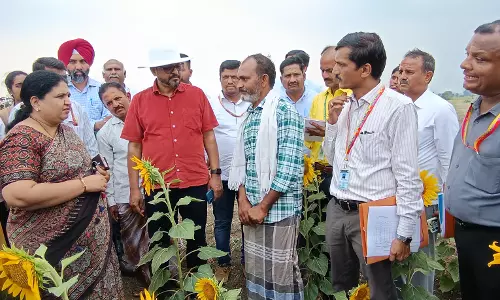 Vijayanagara Farmers Highlight Crop Losses, Compensation Concerns To Central Team Vijayanagara Farmers Highlight Crop Losses, Compensation Concerns To Central Team