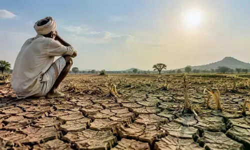 Karnataka To Send 3rd Relief Memorandum To Centre Amid Serious Draught