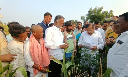 Govt To Include 10-15 More Taluks In Drought-Hit List Soon Govt To Include 10-15 More Taluks In Drought-Hit List Soon