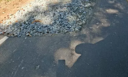 PWD Engineers Attribute Nagarhole Road Damages To Heavy Rainfall PWD Engineers Attribute Nagarhole Road Damages To Heavy Rainfall