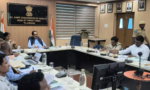 Cancel Licences of Synthetic Manja Sellers in Hyderabad: Forest Chief