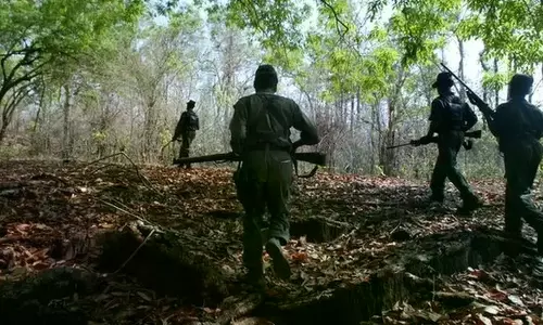 Post-Maoist Bastar: 8 Senior Cops Shifted In Security Reshuffle Post-Maoist Bastar: 8 Senior Cops Shifted In Security Reshuffle