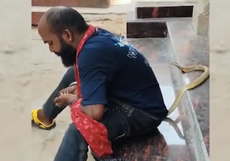Odisha Snake Catcher Dies After Cobra Bite During Reel Filming