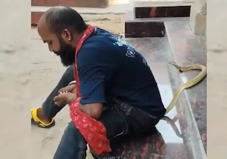 Reel With Snake Turns Fatal, Man Dies of Snakebite in Odisha’s Puri