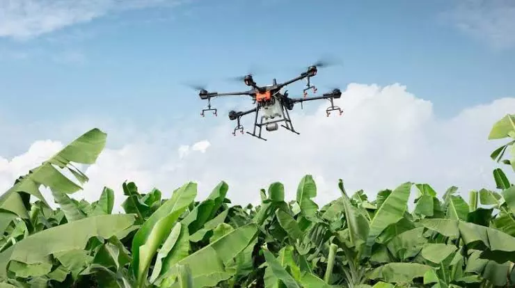 Farmers Use Drones to Ease Labour Shortages and Rising Costs
