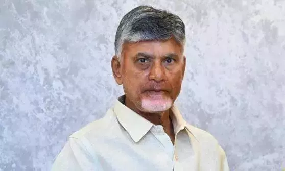 Naidu sets Nov. 15 deadline for Andhra Pradesh local body elections