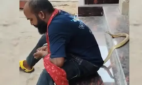 Reel With Snake Turns Fatal, Man Dies of Snakebite in Odisha’s Puri