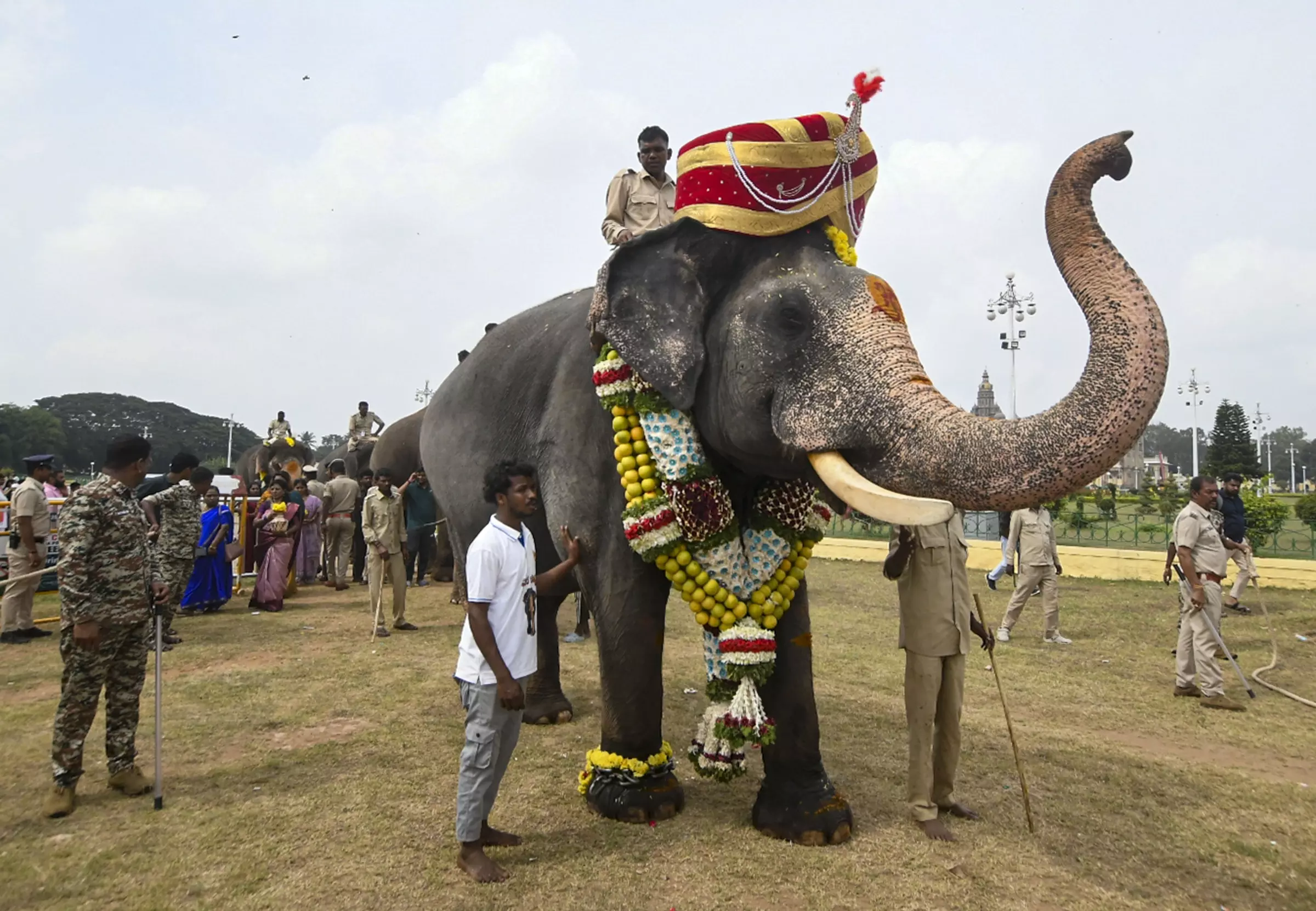 Grand Dasara Festivities Begin in Mysuru With Traditional Fervour Grand Dasara Festivities Begin in Mysuru With Traditional Fervour