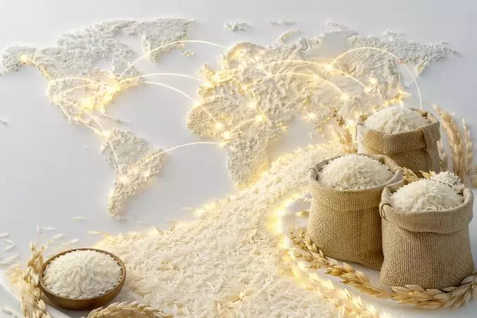 Rice Exporters Save 74% On Freight Costs To West Asia Rice Exporters Save 74% On Freight Costs To West Asia