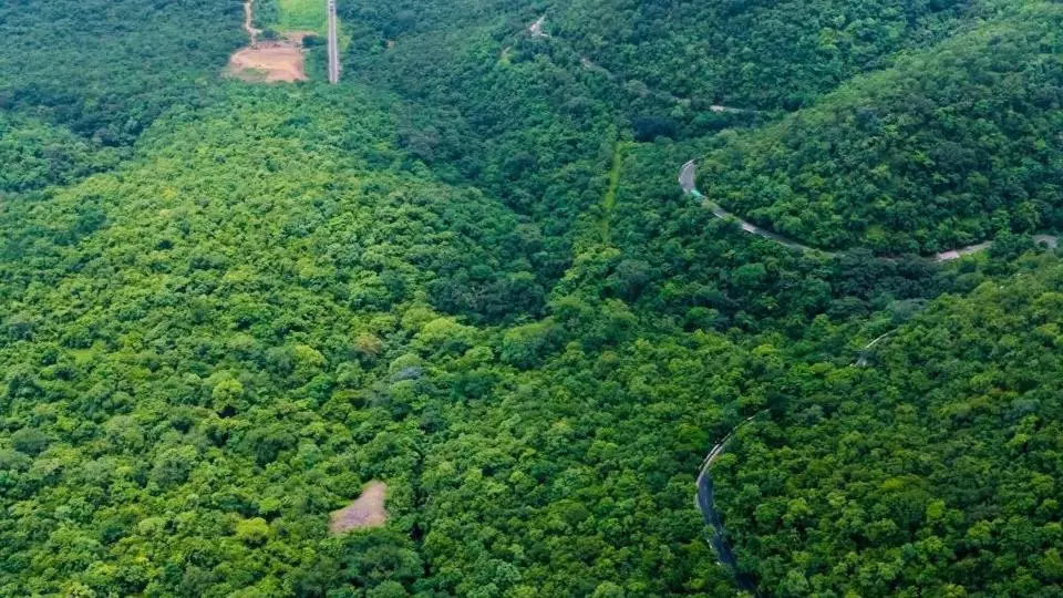 ASI to Launch Second Epigraphical Survey in Nallamala Forest After Discovery of 16 Inscriptions ASI to Launch Second Epigraphical Survey in Nallamala Forest After Discovery of 16 Inscriptions