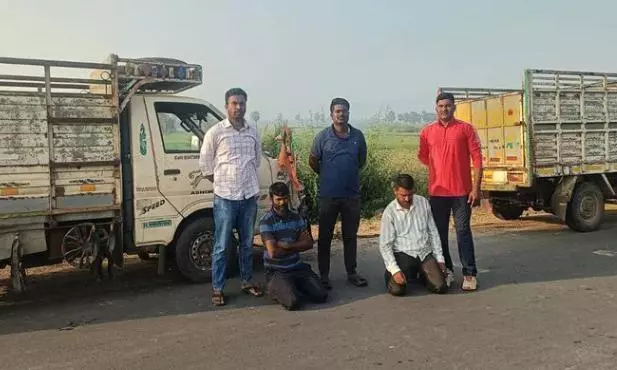 Manthani: Two Held for Transporting 11 Cows in Two Trolleys Manthani: Two Held for Transporting 11 Cows in Two Trolleys