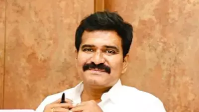 Power Purchase Only For Peak Hours To Avoid Outages: Nirmal Kumar Power Purchase Only For Peak Hours To Avoid Outages: Nirmal Kumar