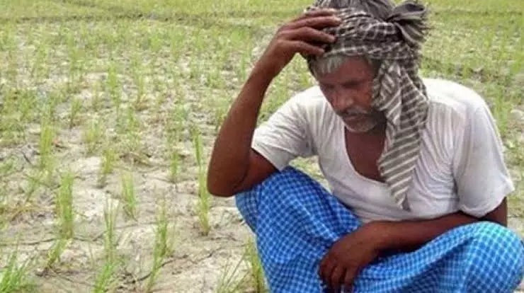 Heavy Rain In Nagai Hits Normal Life, Makes Farmers Happy Heavy Rain In Nagai Hits Normal Life, Makes Farmers Happy