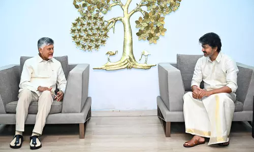 Naidu, Vijay Discuss Telugu Ganga, River-Linking Plan