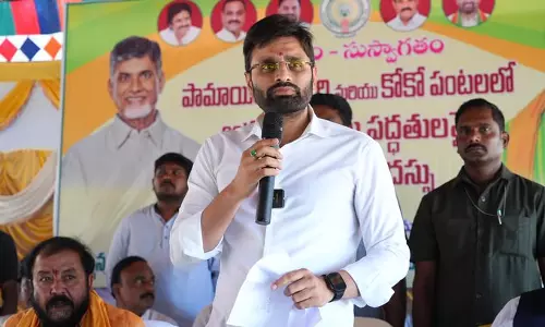 Eluru MP Seeks Palm Oil, Coconut Boards in Godavari Districts