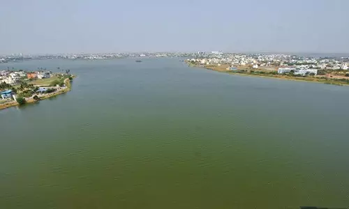 All Ways To Kill A Lake Followed Here