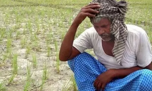 Heavy Rain In Nagai Hits Normal Life, Makes Farmers Happy Heavy Rain In Nagai Hits Normal Life, Makes Farmers Happy