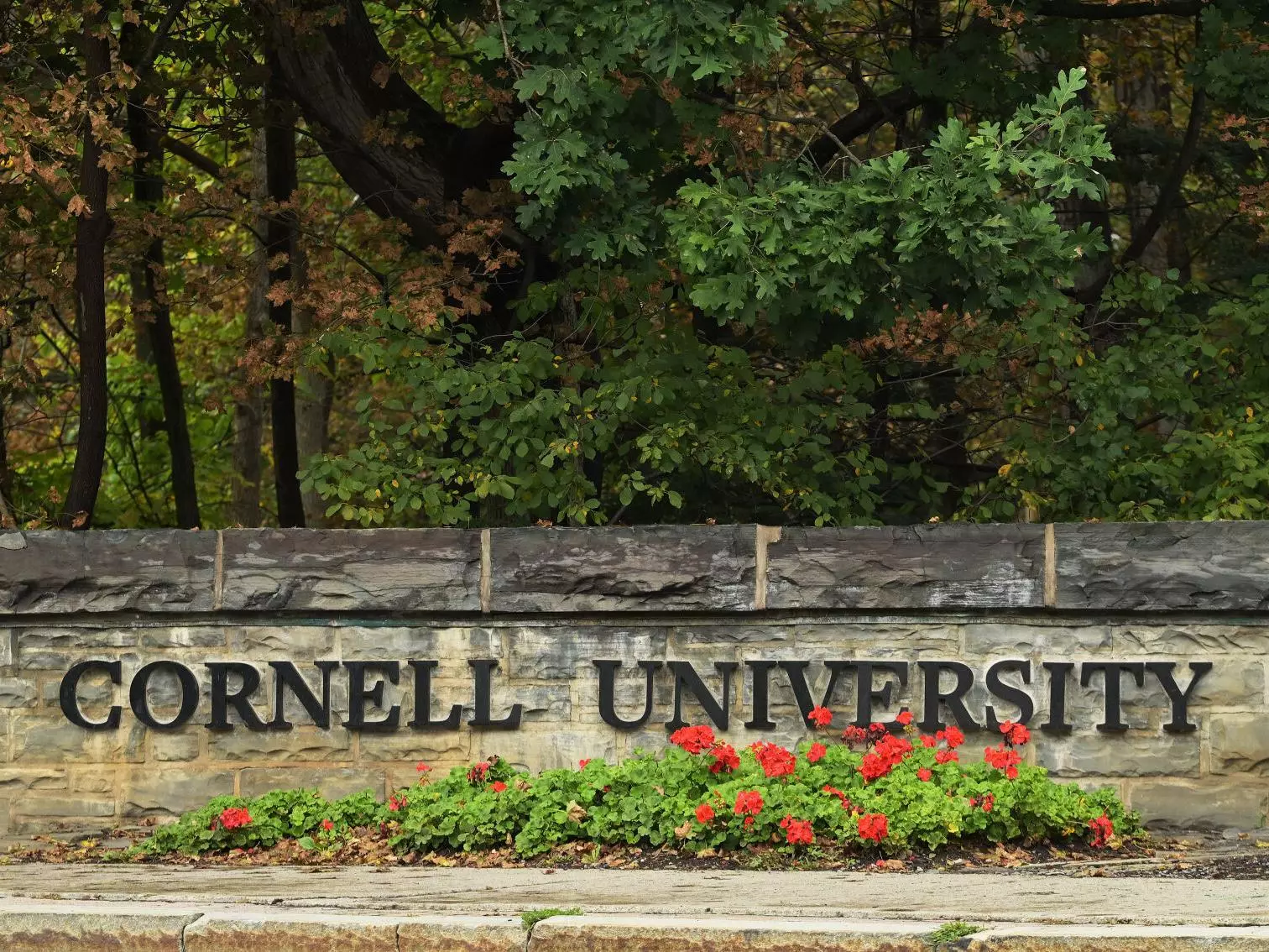 Cornell Bans Fraternity Parties For Rest of Academic Year After Alleged Gang Rape