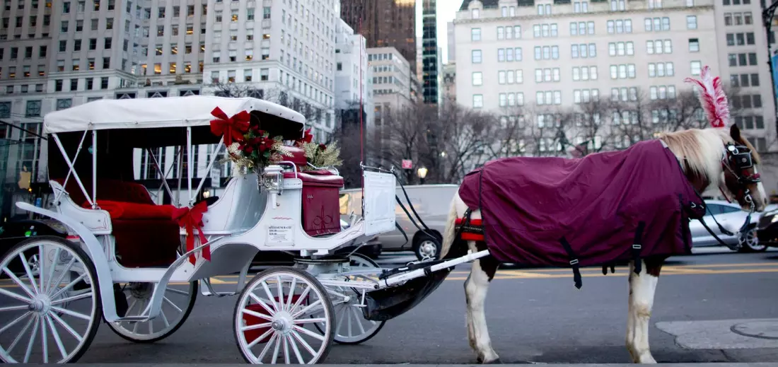 New York to Ban Horse-Drawn Carriages Under Romanch’s Law After Indian ...