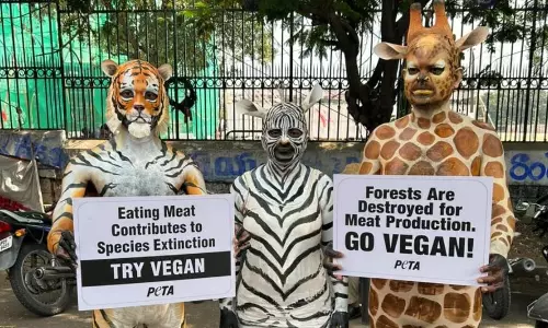 Body-Painted as Wild Animals, Activists in Hyderabad Urge Shift to Vegan Diet on World Food Day Body-Painted as Wild Animals, Activists in Hyderabad Urge Shift to Vegan Diet on World Food Day