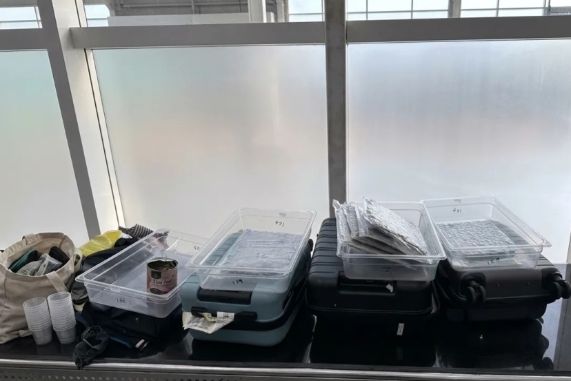 DRI and Customs seize 5.291 kg hydroponic cannabis at Bhubaneswar airport