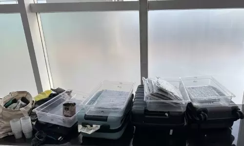 Hydroponic Cannabis Worth Rs 1.85 Crore Seized at Bhubaneswar Airport, Four Detained Hydroponic Cannabis Worth Rs 1.85 Crore Seized at Bhubaneswar Airport, Four Detained