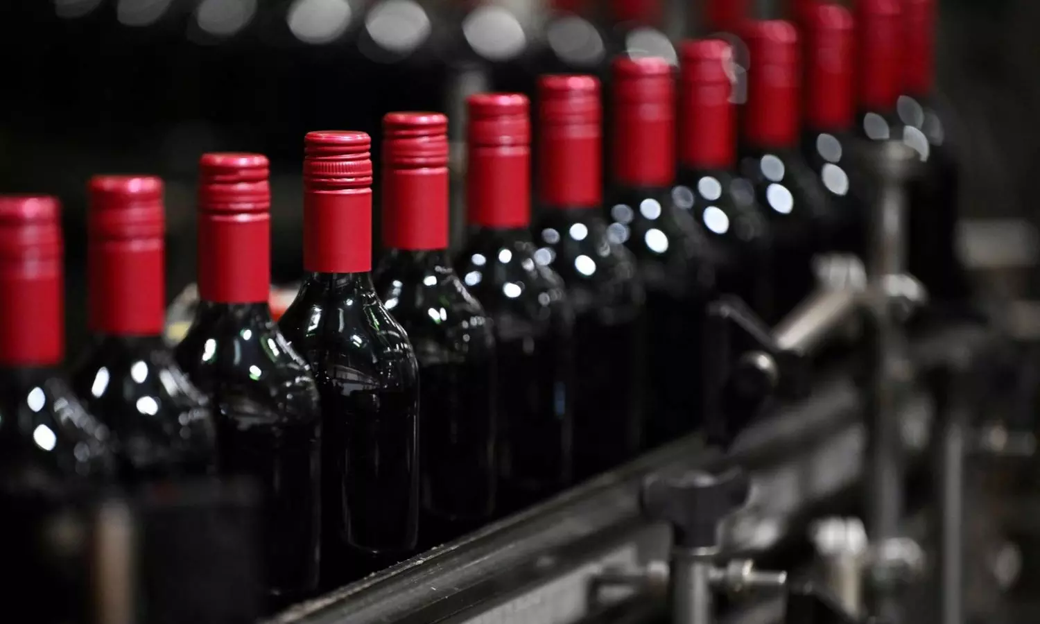 Keralam Govt Cancels Bakery’s Licence To Sell Horti Wine Keralam Govt Cancels Bakery’s Licence To Sell Horti Wine