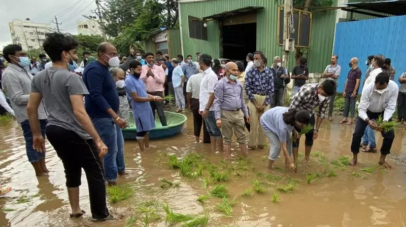 CPM Plants Saplings in Potholes to Protest Poor Road Conditions CPM Plants Saplings in Potholes to Protest Poor Road Conditions