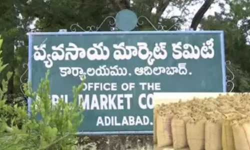 Cotton: Commercial Operations To Start In Adilabad Market Yard From Oct 22