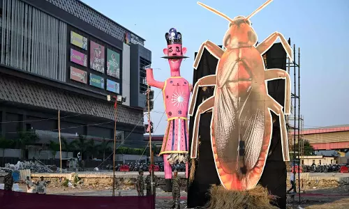 Cockroach Effigy Goes Up in Flames at Delhi Ramlila, Organisers Link it to Hygiene Issues Cockroach Effigy Goes Up in Flames at Delhi Ramlila, Organisers Link it to Hygiene Issues