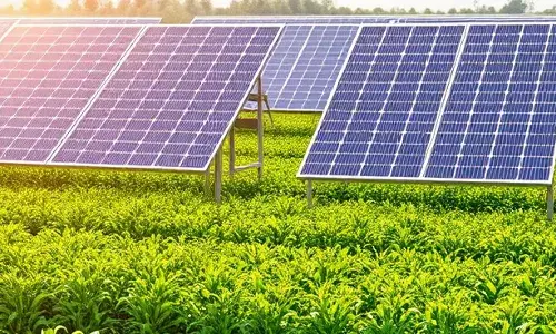 New Policy in Works to Boost Agrivoltaics in India