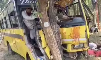 Bus Crashes Into Tree in Chhattisgarh, 6 Lose Lives and 20 Injured Bus Crashes Into Tree in Chhattisgarh, 6 Lose Lives and 20 Injured