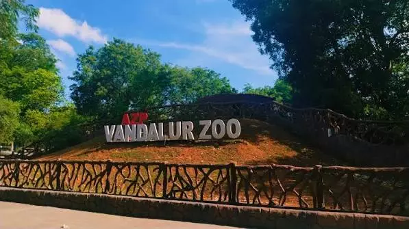 Vandalur Zoo Closed For Public Due To Avian Flu Among Water Birds Vandalur Zoo Closed For Public Due To Avian Flu Among Water Birds