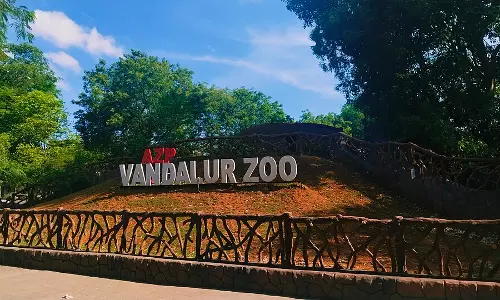 Vandalur Zoo Closes Due to Bird Flu Spread Threat