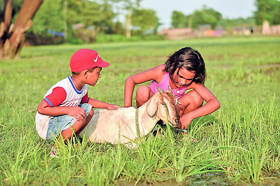 Kids Ditch Malls for Goats, Geese & Mud Kids Ditch Malls for Goats, Geese & Mud
