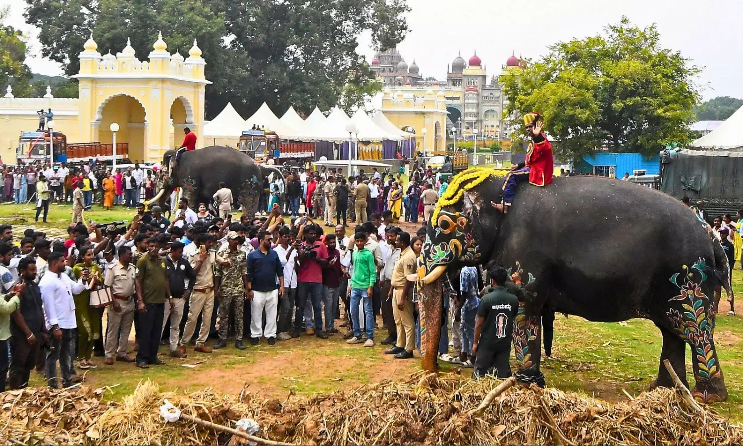 Elephant Squad Bids Farewell to Mysuru Palace After Dasara Jumbo Savari Elephant Squad Bids Farewell to Mysuru Palace After Dasara Jumbo Savari