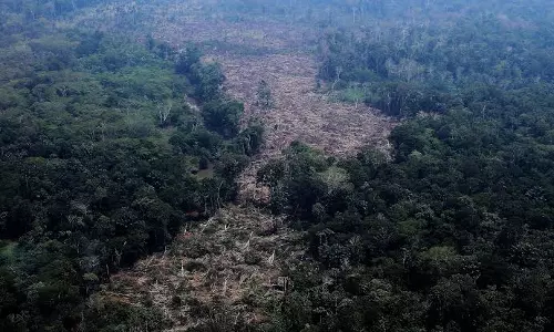 Lula’s Historic Election Victory Raises Hopes for Amazon Rainforest Protection Lula’s Historic Election Victory Raises Hopes for Amazon Rainforest Protection