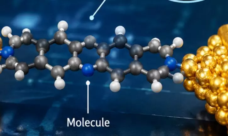 IIT-M Faculty Makes Key Inputs to Global Study on Molecular Electronics IIT-M Faculty Makes Key Inputs to Global Study on Molecular Electronics