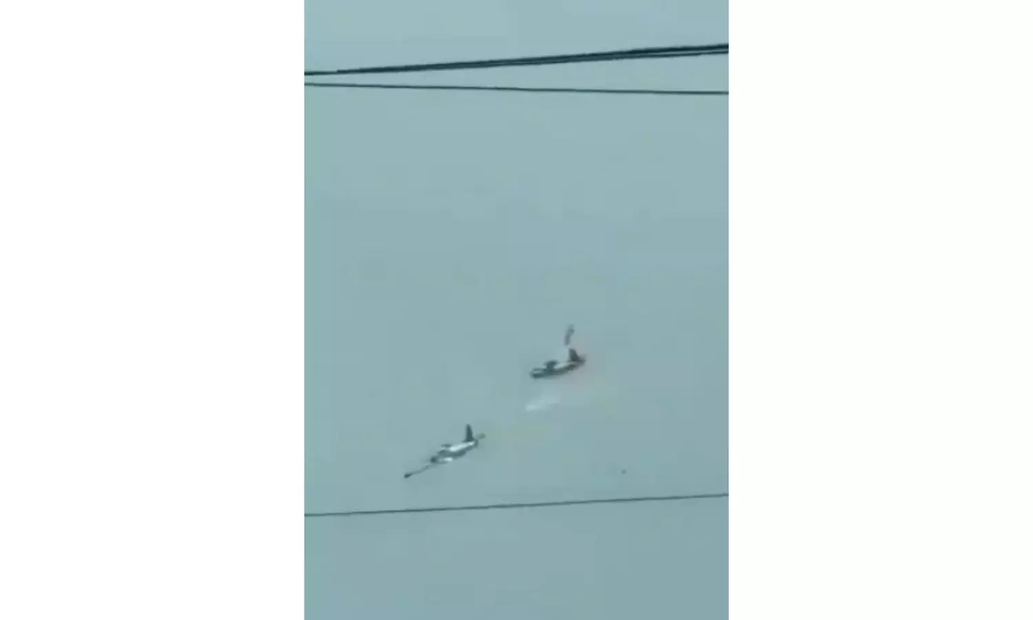 4 Philippine Air Force Pilots Killed As 2 Trainer Aircraft Crash During Training Flight 4 Philippine Air Force Pilots Killed As 2 Trainer Aircraft Crash During Training Flight