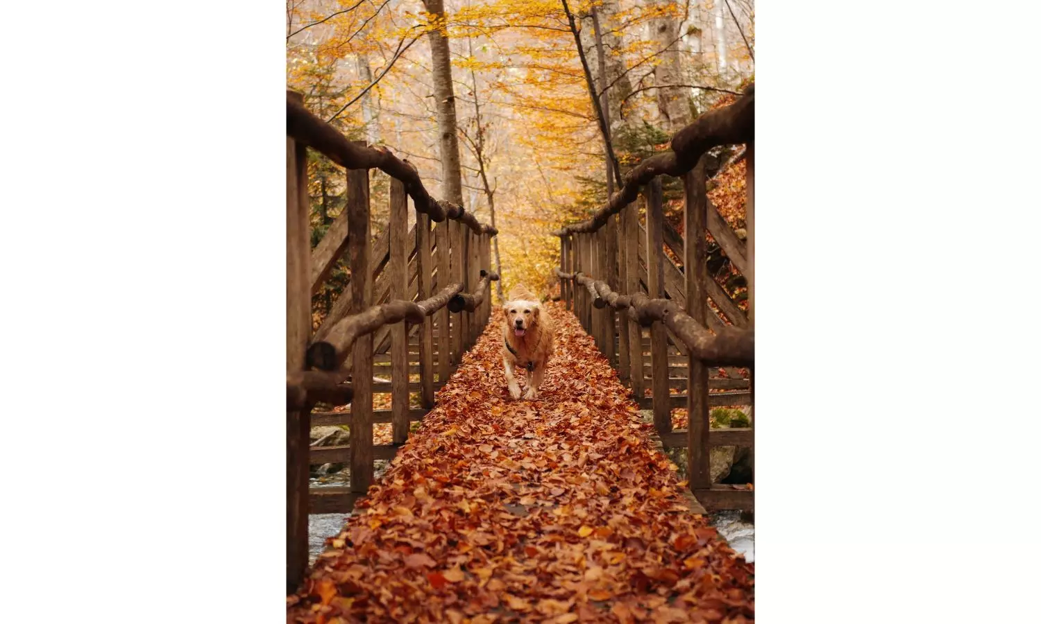 Making Sense Of October, The Year’s Fastest Month Making Sense Of October, The Year’s Fastest Month