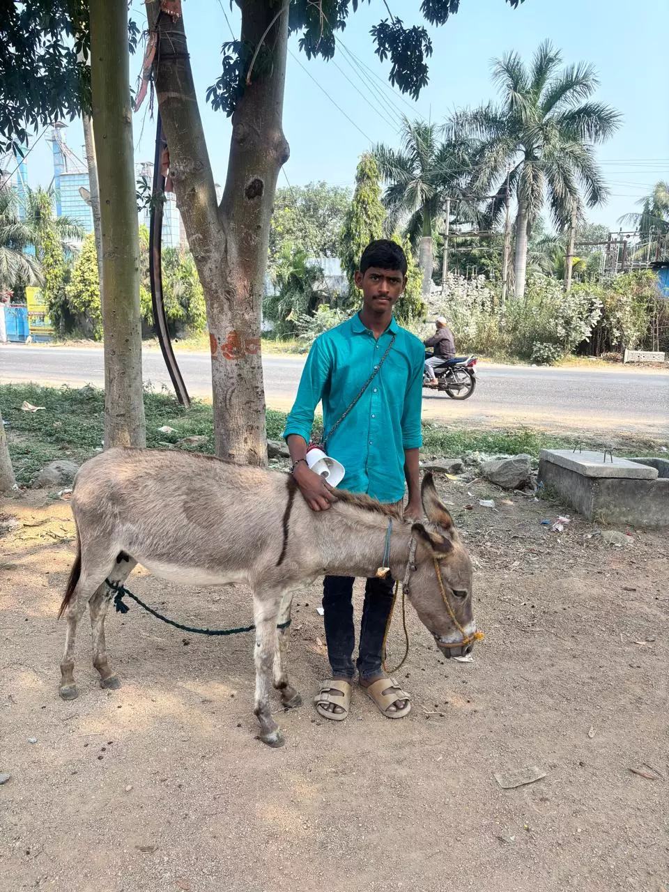 Donkey Milk Finds Demand In North Telangana Donkey Milk Finds Demand In North Telangana