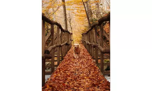 Making Sense Of October, The Year’s Fastest Month Making Sense Of October, The Year’s Fastest Month