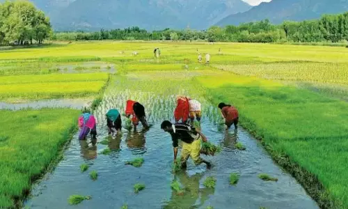 Adilabad Officials Step Up Water Conservation Awareness Drive