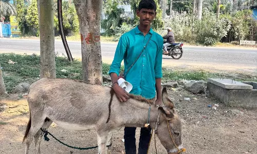 Donkey Milk Finds Demand In North Telangana Donkey Milk Finds Demand In North Telangana