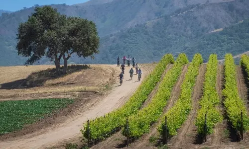 Beyond The Vineyard: The community Spirit That Keeps Paso Robles going
