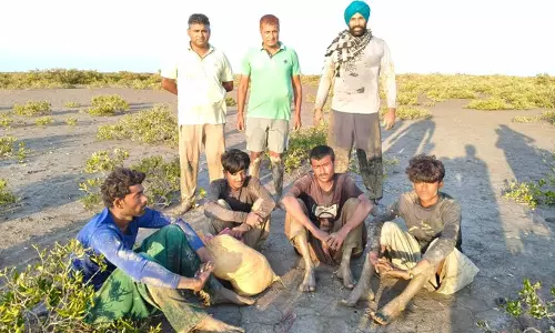 BSF Apprehends Four Pakistani Fishermen, Seizes Boat in Gujarats Kutch