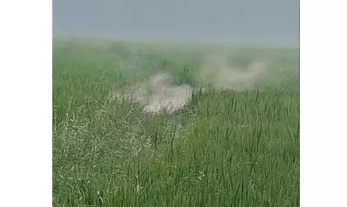 ONGC Gas Leak in Machavaram Under Control, Says Collector
