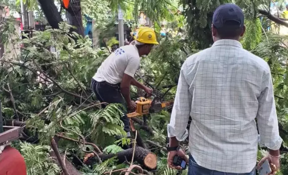 Cyclone Arnab: Trees Uprooted, Roads Flooded in AP Cyclone Arnab: Trees Uprooted, Roads Flooded in AP