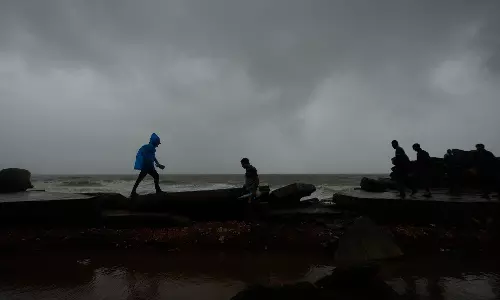 Cyclone Arnab Claims 9 Lives, Devastates Crops In 14 AP Dists