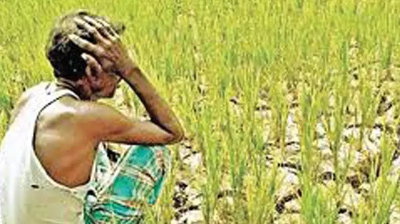 Rayalaseema Swelters Even As Cyclonic Rains Hit Coastal Districts Rayalaseema Swelters Even As Cyclonic Rains Hit Coastal Districts